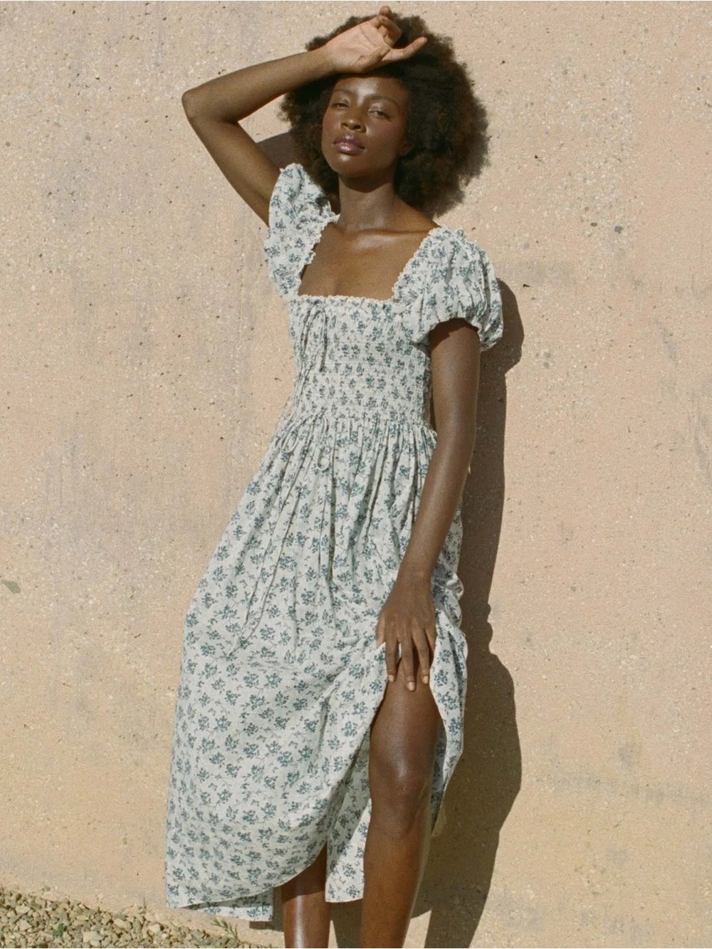 Doen Stanza Dress in Songbird Toile Size Small Blue Floral Puff Sleeve